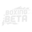 🥊 Boxing Beta Discord Server Logo