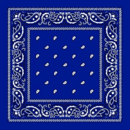 ( WCC )West coast crips Discord Server Logo