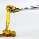 Dab Central Discord Server Logo