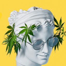 The Ganja Headspace Discord Server Logo