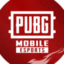 PUBG MOBILE ESPORTS Discord Server Logo