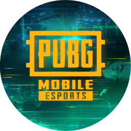 PUBG MOBILE ESPORTS Discord Server Logo