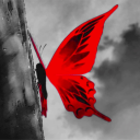 Koo Kasa Discord Server Logo