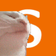 Sainsbury's Discord Server Logo