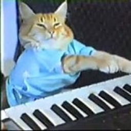 The Greek paradice Discord Server Logo