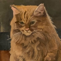 daily cat photos Discord Server Logo