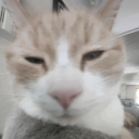 Cat Island Discord Server Logo
