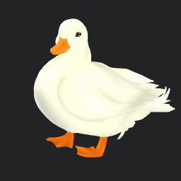 Ducksweb Discord Server Logo