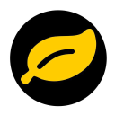 GTA5RP Discord Server Logo