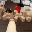 Roblox Condo's 24/7 - 2 Discord Server Logo