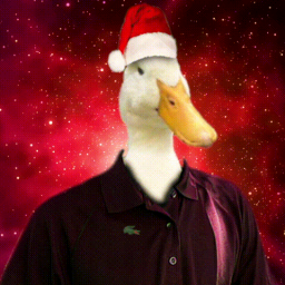 Nikoverso Discord Server Logo