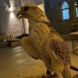 /Crypto Company Discord Server Logo