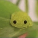 frog land Discord Server Logo