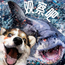 观察吧 Observe Bar Discord Server Logo