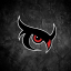 NightOwl Esports Discord Server Logo
