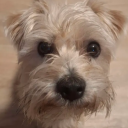 Abandoned Discord Server Logo