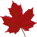 PlaceCanada Discord Server Logo