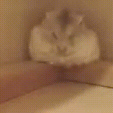 π·ππππ Discord Server Logo