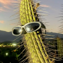 Cactus Gang Discord Server Logo