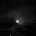 loser Discord Server Logo