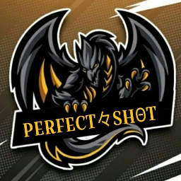 PERFECT々SHΘT Discord Server Logo