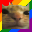 Cat Stand ๐ Discord Server Logo
