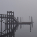 Morrow Shore Discord Server Logo