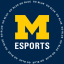 Michigan Esports Discord Server Logo