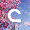 Cindocu Discord Server Logo