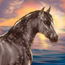 Equestrial Discord Server Logo