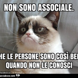 Il Buco Degli Associali Discord Server Logo