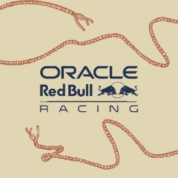 Red Bull Motorsports Discord Server Logo