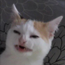 Gooners Discord Server Logo