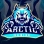 ❄Artic Games❄ Discord Server Logo
