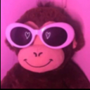 𝗕𝗔𝗡𝗗𝗔𝗥 Discord Server Logo