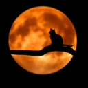 Genesis Italia Discord Server Logo