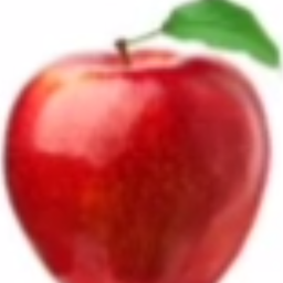 Duranda Discord Server Logo