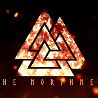 The Northmen's DayZ Discord Server Logo