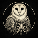 OwlSec Discord Server Logo