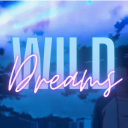WILD DRΞΛMS﹒🌙™ Discord Server Logo