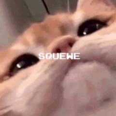 Squewe's Spooky Ahh Basement Discord Server Logo