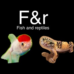 Fish and reptiles Discord Server Logo