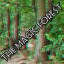π³ The Magic Forest π³ Discord Server Logo